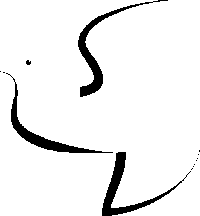 Vision forming process